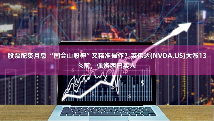 股票配资月息 “国会山股神”又精准操作？英伟达(NVDA.US)大涨13%前，佩洛西已买入